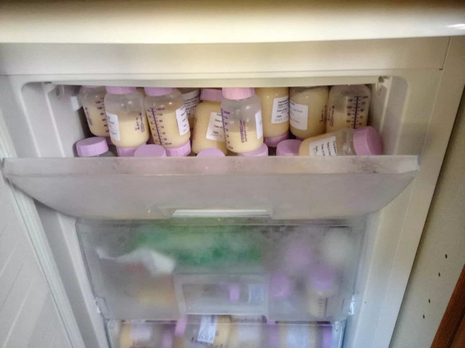Хранение сцеженного грудного молока для новорожденного. Грудное молоко в холодильнике. Молоко хранение в холодильнике. Холодильник для грудного молока.