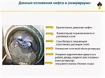 Пробоотборник бикера для донных отложений. Отложения в почве. Донные отложения определение. Донные отложения определение. Донные отложения определение.