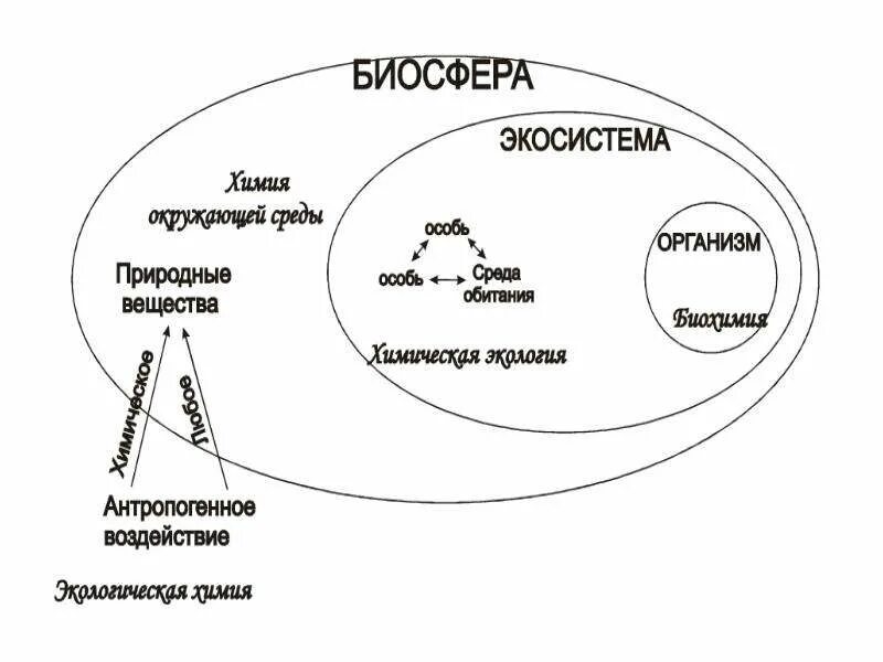 Самая большая экосистема на земле. Биогеоценозы экосистемы и Биосфера. Биогеоценоз и Биосфера структура. Биосфера структура экосистемы. Биосфера как Глобальная экосистема схема.