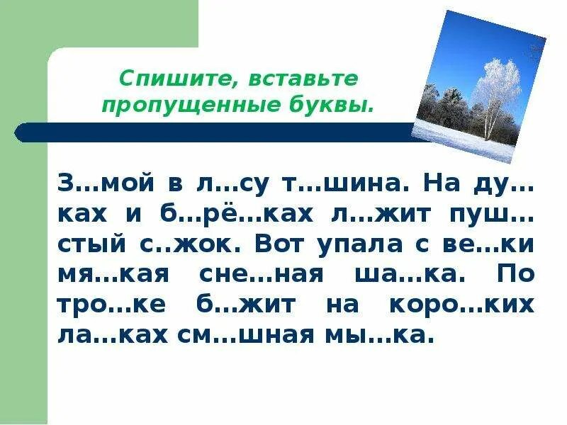 Задания на орфографическую зоркость. Упражнения для формирования орфографической зоркости. Занятия по русскому языку 2 для развитии орфографической зоркости. Задания на развитие орфографической зоркости 2 класс. Как правильно вставить пропущенные