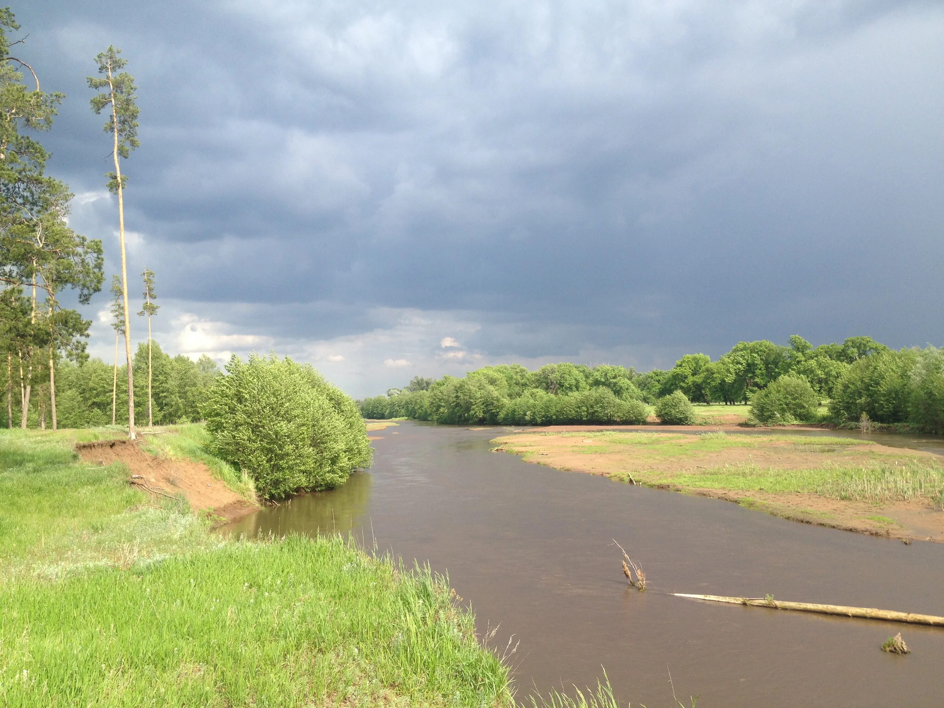 По огуречному озеру между. Боровка (приток Самары). Река Боровка Самара. Река Боровка Бузулукский Бор. Берёзовка (приток нары).