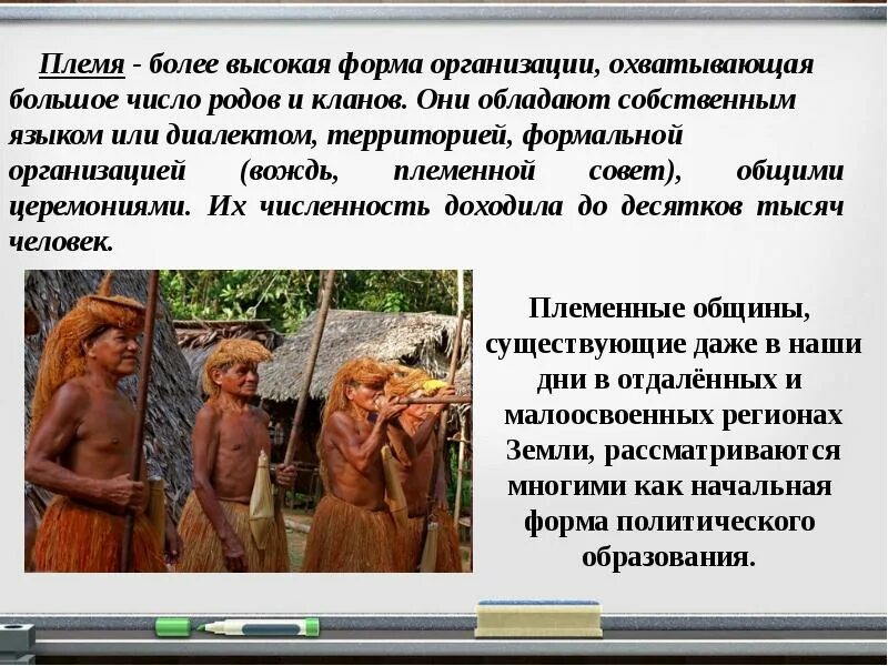 Роду племени значение