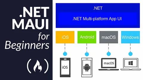 Net maui