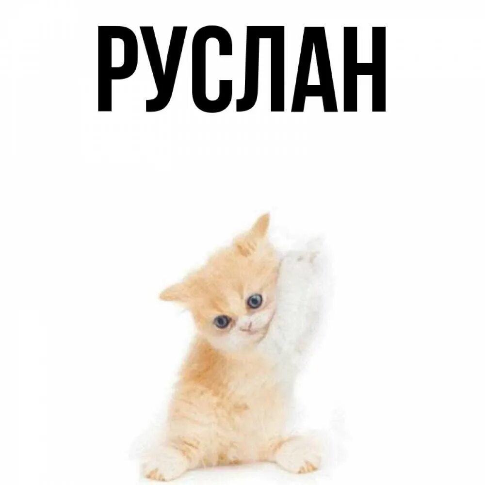 Имя рустом. Имя рустом