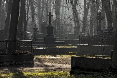 Красивые кладбища москвы