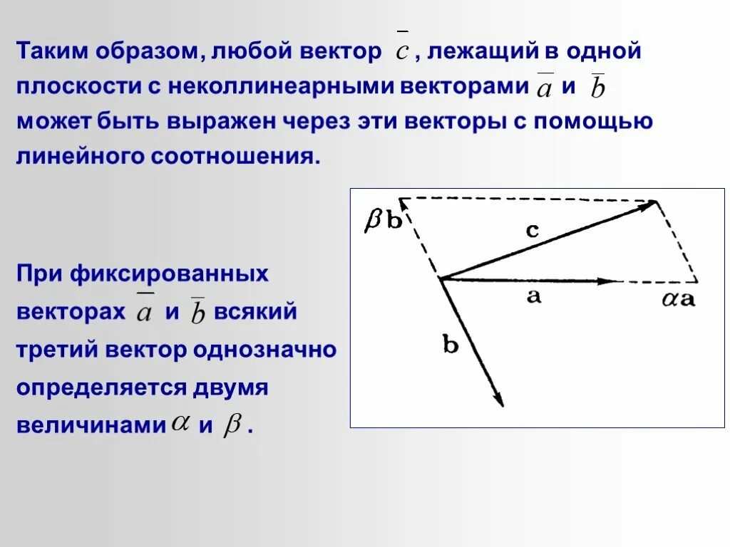 Фиксированный вектор. Что такое вектор в физике. Неподвижный вектор. Фиксированные векторы.