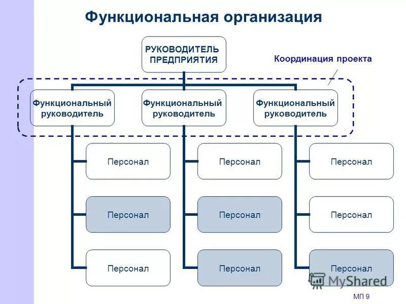 Функциональное руководство организацией