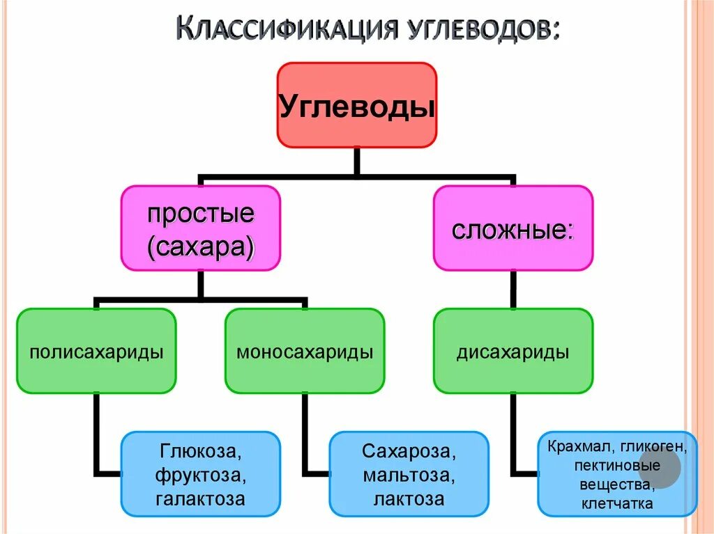 Общая классификация углеводов. Классификация углеводов схема. Схема классификация углеводов биология 10 класс. Углеводы схема по биологии 10 класс.