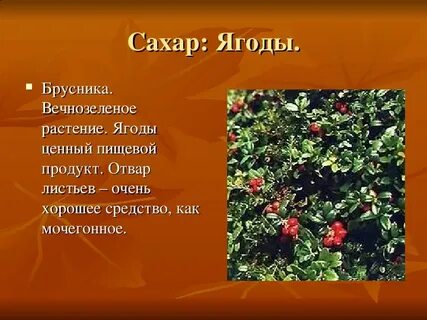 Слово ягода это растение