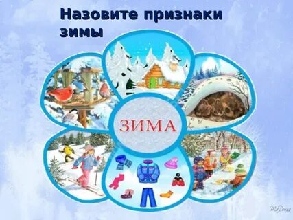 Признаки зимы для дошкольников