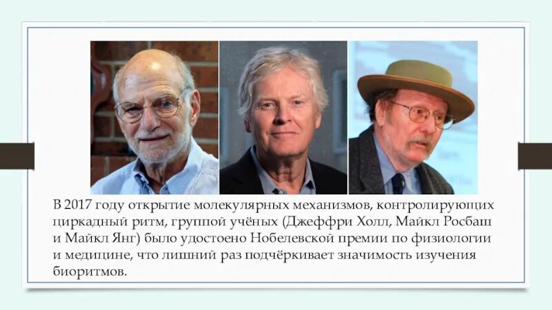 Группы ученых предстояло. Джеффри Холл. Джеффри Холл {Geoffrey Hall}. Нобелевские премии за открытие механизмов циркадного ритма.