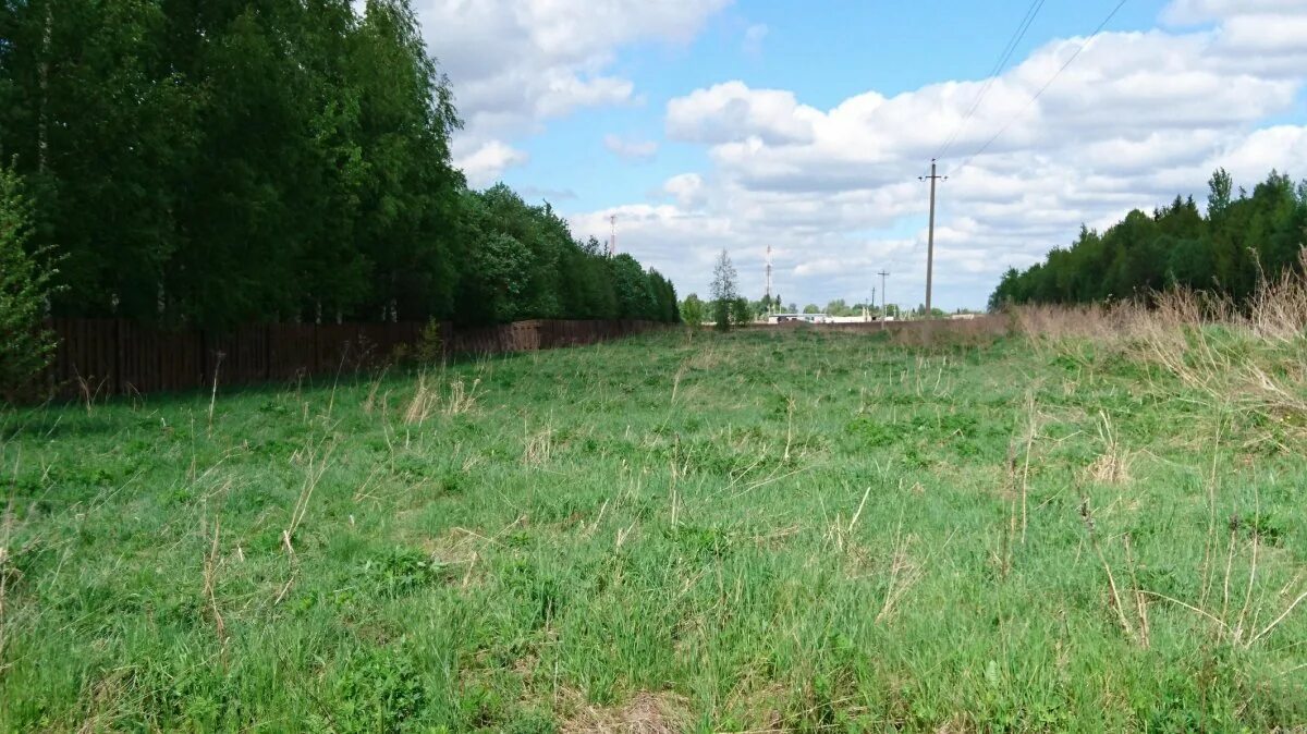 Верхнетуломская кпп лотта 19км. Мурманск почвы. Зверосовхоз мурманская область. Заполярные просторы мурманск. Дачный поселок мурманск.