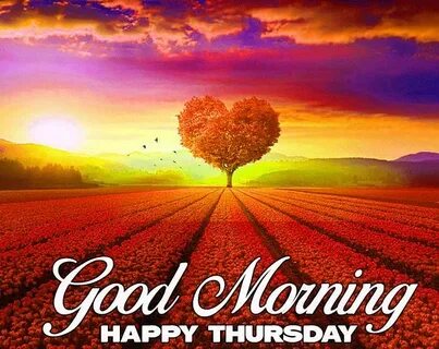 Thursday morning