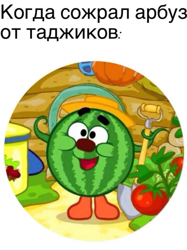 Копатыч малинка. Смешарики копатыч арбуз. арбузный копатыч. медали копатыч. смешарики из арбуза.