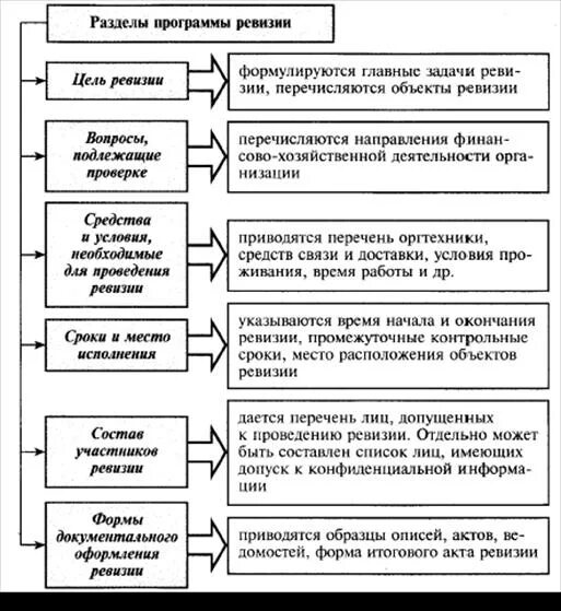 В ходе ревизии. Схема проведения ревизии.