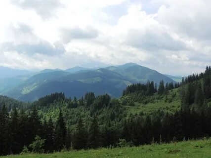 Горы карпаты находятся