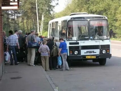 Расписание автобуса купавна станция купавна сегодня