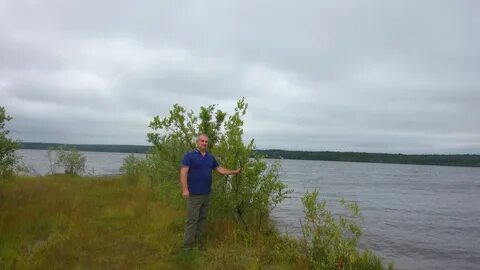 Погода в каменном бору