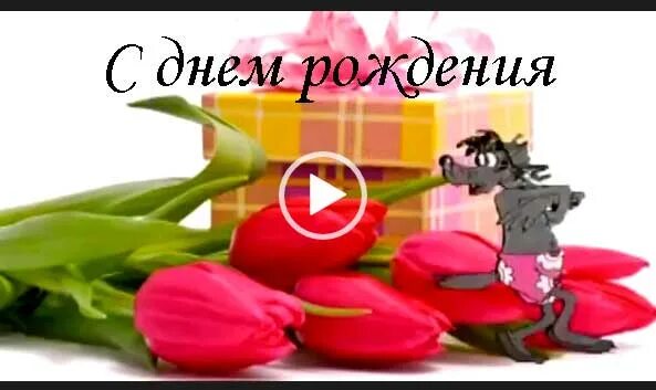 Поздравление с днем рождения женщине видео вацап. Видеоролик с днем рождения. Прикольные видеоролики с днем рождения. Тик ток с днём рождения женщине.