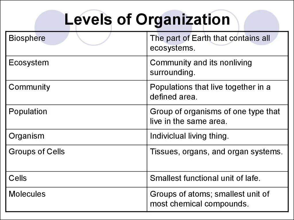 Levels of Organization. Levels of Life Organization. Levels of Biological Organization. Levels of Organization Cell to Tissues. Living levels