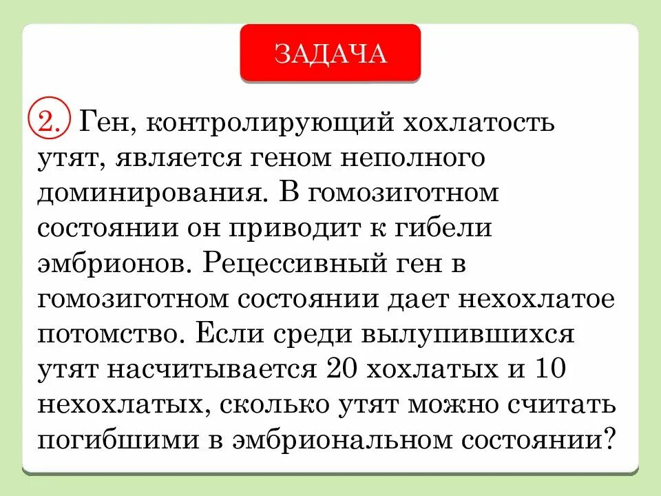 Задачи на неполное доминирование. Задачи на неполное доминирование с решением. Задачи на неполное доминирование с решением 9 класс. Задачи по биологии неполное доминирование решение. У людей ген курчавых волос неполностью доминирует