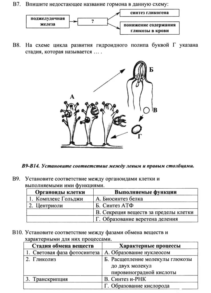 Контрольная работа по биологии 8 класс итоговая. Тесты по биологии 5. Тест по биологии 5 класс с ответами. Тест по биологии 5 класс растения. Контрольная работа по биологии 5 класс с ответами.