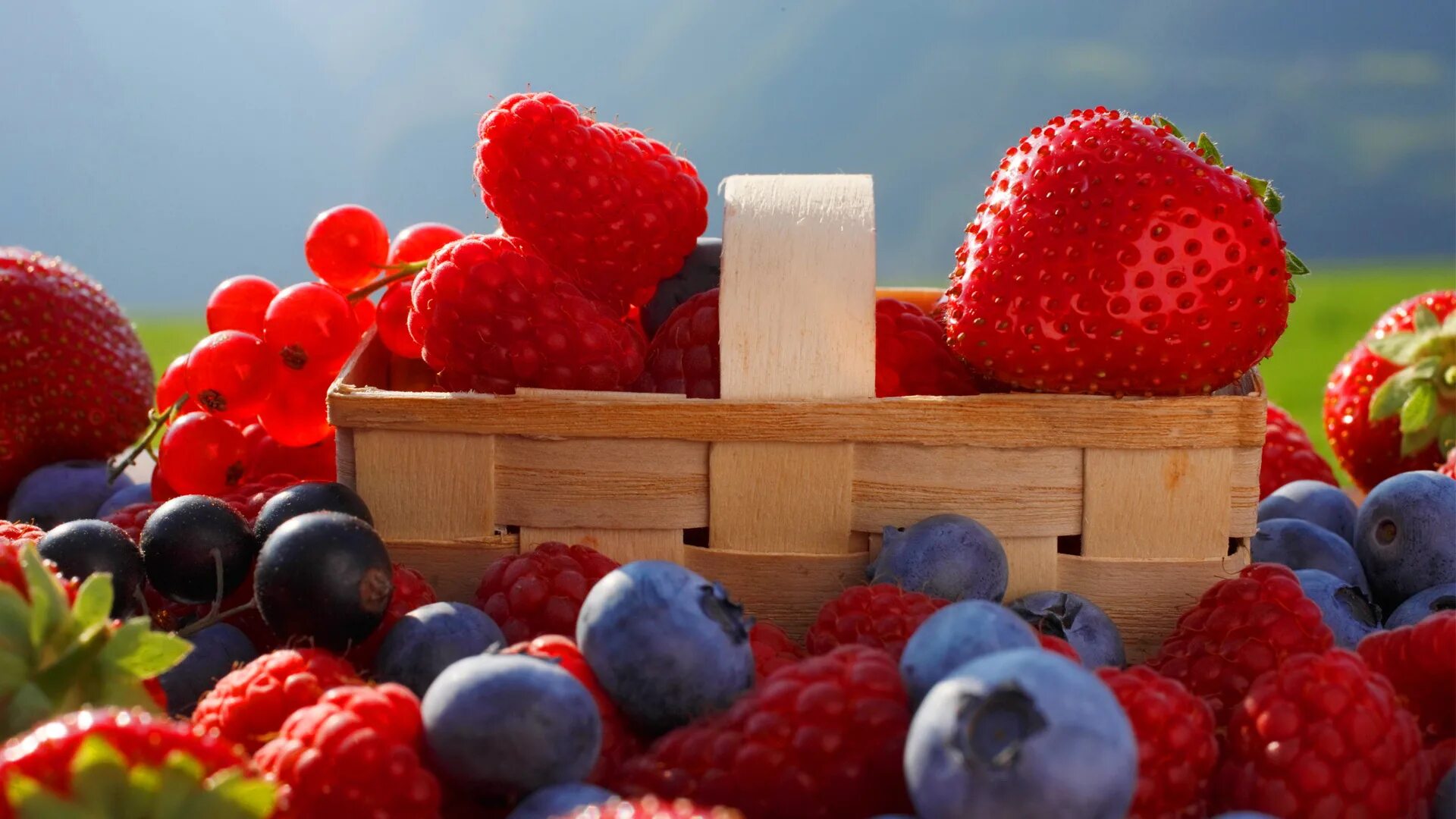 Летние обои на стол. Красивые ягоды. Сочная ягода. Ягоды летом. Красивые фрукты.
