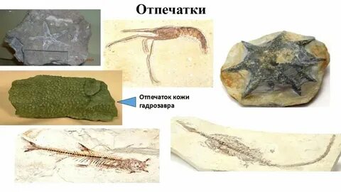 Самый древний метод изучения