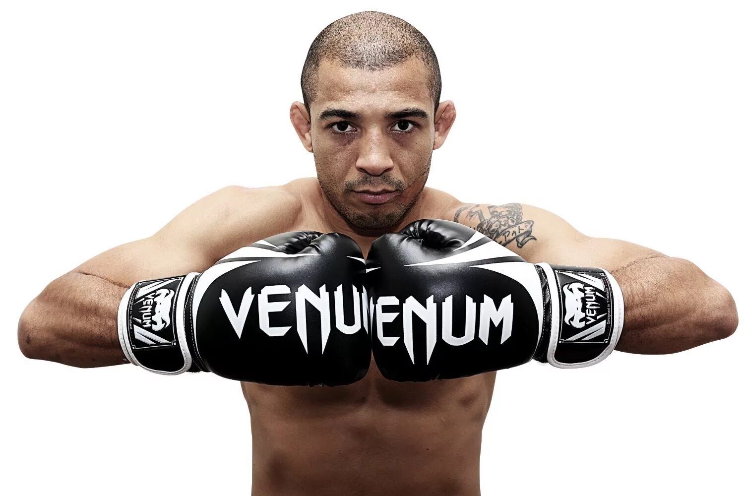 I am boxing. Боксер venum. боксерские перчатки венум. venum боец мма. boxing rolls venum.
