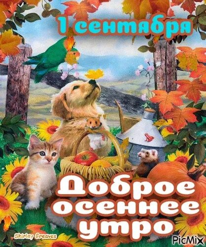 Бесплатные картинки с новым сентябрьским днем. 1 сентября осень. солнечного осеннего дня. доброе осеннее утро сентября. с 1 днем осени.