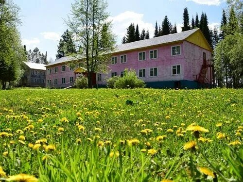 Лагерь Сокол Нижегородская область Городецкий район. Лагерь Сокол Лысьва. Лагерь Сокол Пермь. Лысьва детские лагерь Сокол.