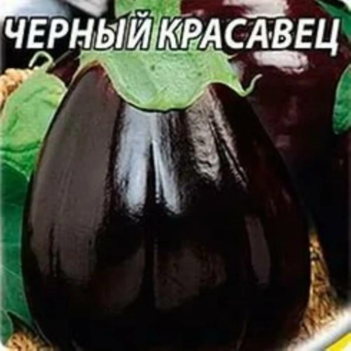 Семена баклажана гавриш "чёрный красавец". Баклажан черный красавец гавриш. Баклажан черный красавец гавриш. Баклажан красавец. Баклажан черный русский f1 1шт аэлита/////.