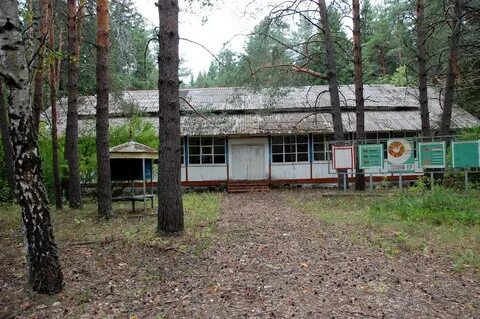 Сосновый бор пионерский