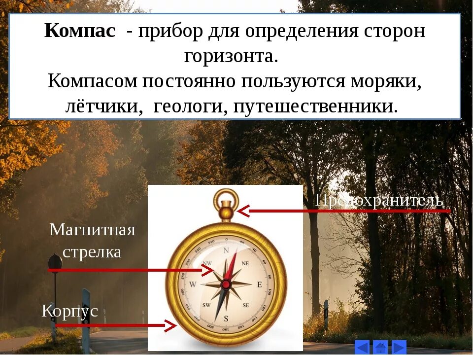 Ориентирование на местности стороны горизонта. Компас это прибор для определения сторон горизонта. Компас прибор для определения сторон. Приборы для ориентирования на местности. Распредели все стороны горизонта по группам