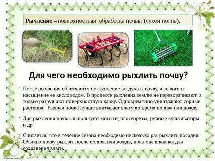 Роль рыхления для растений 6 класс