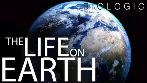 Life on earth