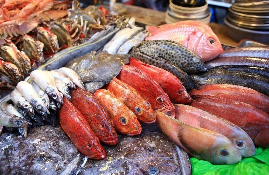 Рыба в ассортименте. Морская рыба и морепродукты. Рыба съедобная. Морская рыба на прилавке. Рыба оптом от производителя