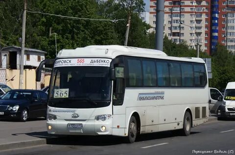 Санкт петербург кировск автобус