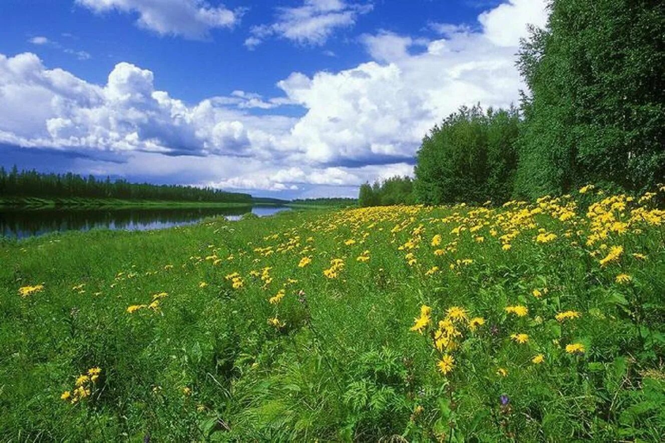 Лето в русской прозе