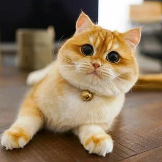 Как называется мил