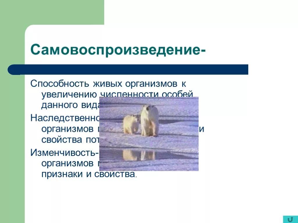 Приобретение новых свойств живыми организмами. Способность организмов к самовоспроизведению это. Самовоспроизведение живых организмов. Способности живых организмов. Организмы способные к самовоспроизводству.