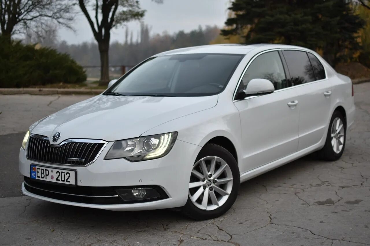 Купить октавию 2014. Шкода Суперб 2014. Суперб Шкода 2014г. Skoda Superb 2014 белая.