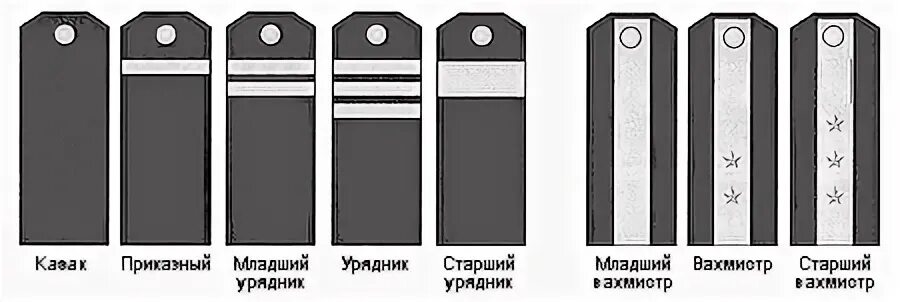 Одна полоска на погоне. Погоны донских Казаков царской армии. Чин старший вахмистр. Погоны УРЯДНИКА Донского казачества. Младший урядник погоны казачьи.