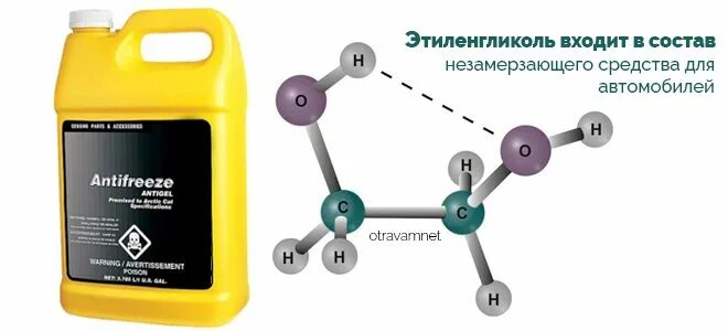 Этиленгликоль где используется. Отравление этиленгликолем. этиленгликоль. этиленгликоль влияние на организм человека. этиленгликоль воздействие на организм.