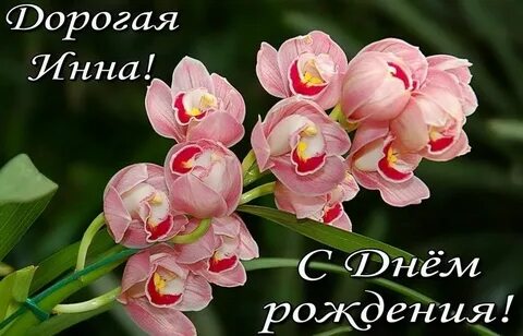 Рождение цветка картинки
