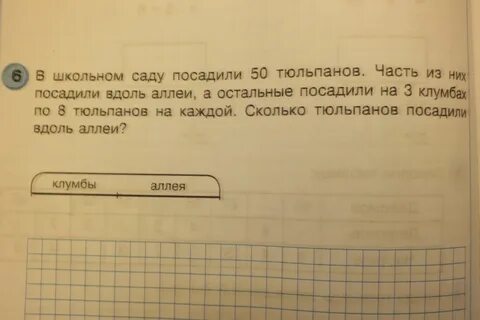 Вдоль аллеи высадили 15 кустов