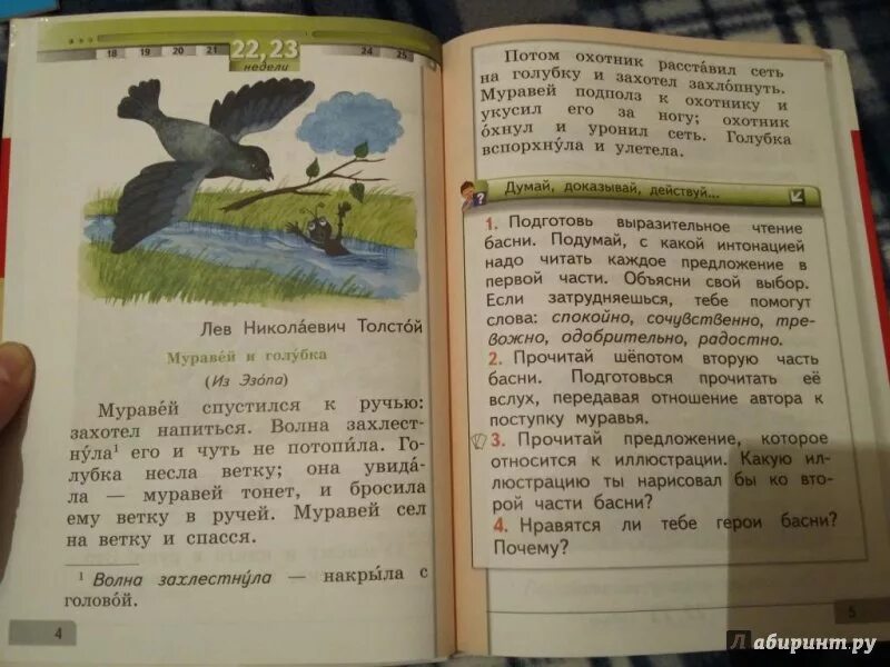 Муравей и Голубка толстой книга. Муравей и Голубка толстой читать. Рассказ муравей и Голубка. Лев Николаевич толстой муравей и Голубка. Муравей сел на ветку и спасся волна