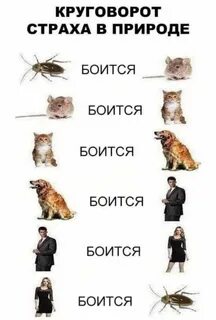 А кто же не боится