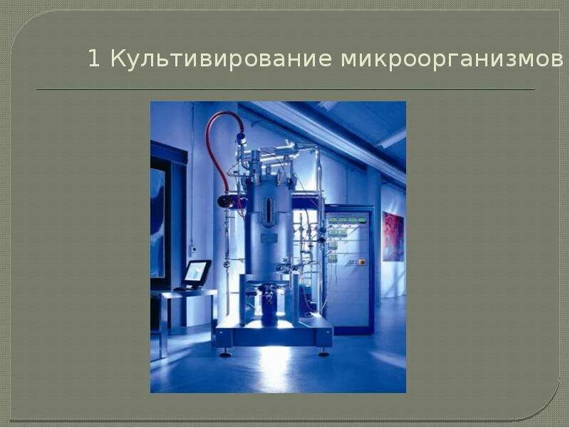 Процесс культивирования микроорганизмов. Периодическое культивирование. Биореактор ферментер чертеж. Процесс культивирования микроорганизмов. Процесс культивирования микроорганизмов.