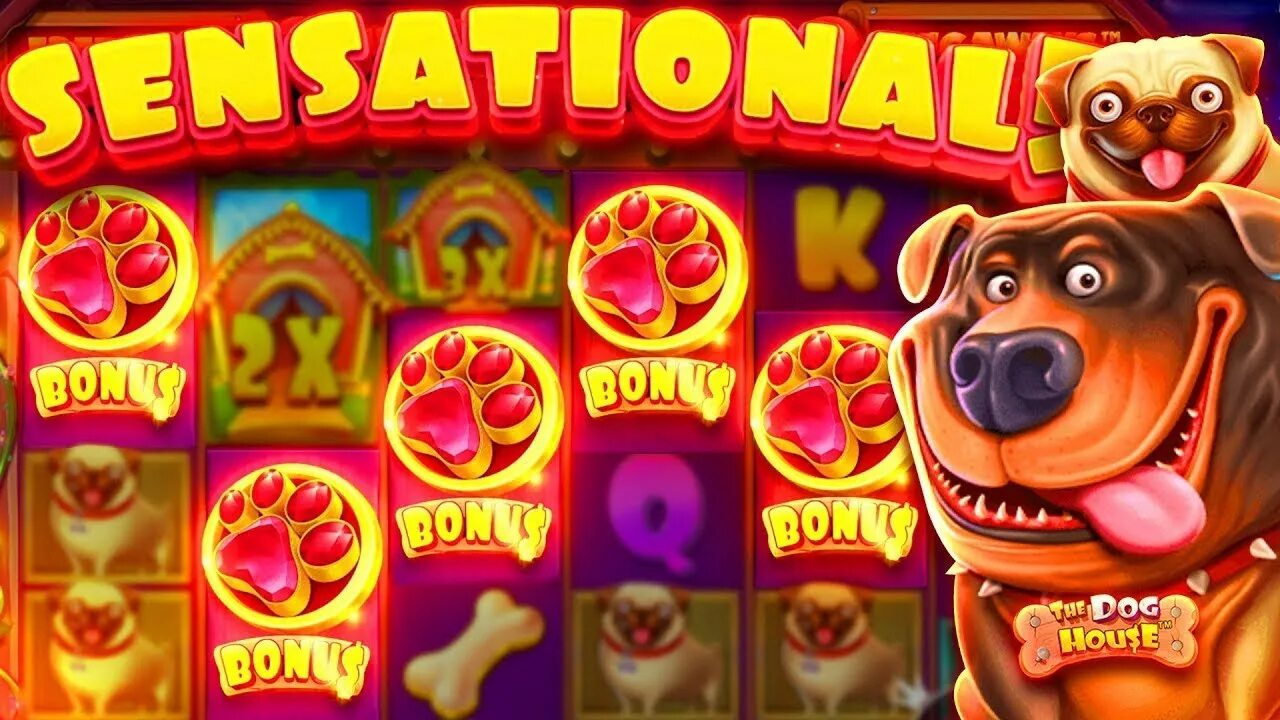 Dog house dice. Казино собаки дог хаус. Дог хаус дайс. Выигрыш в казино dog house. Слот собаки.